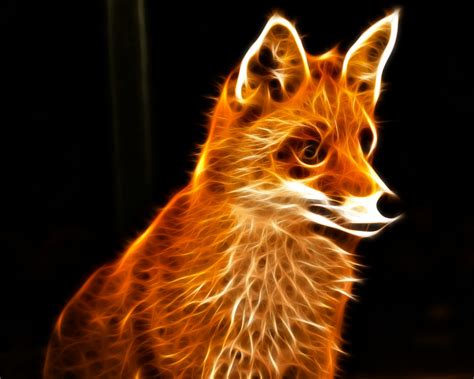 113 arctic fox hd wallpapers and background images. Fox wallpapers Wallpapers High Quality | Download Free