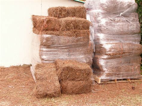 Baled Pine Straw For Sale Largo And St Petersburg Buy Florida