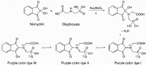 Mechanism Of Reaction Of Glyphosate With Ninhydrin In The Presence Of