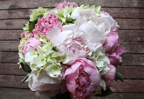 14 best hydrangeas wedding bouquets ideas for brides. Peony-and-Hydrangea-Bouquet | Weddings | Pinterest