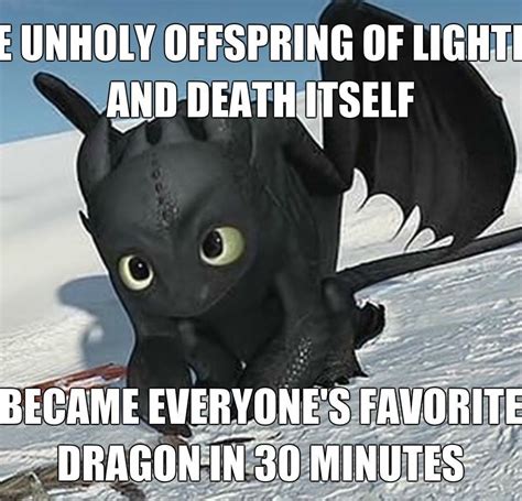 Pin By Alayna Meadows On How To Train Your Meme How To Train Dragon