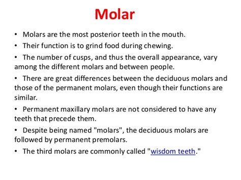 10 Maxillary First Second Third Molars