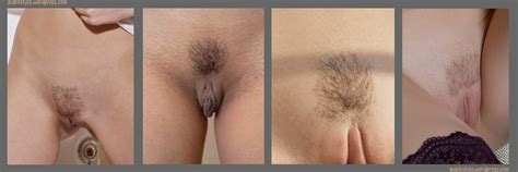Trimmed Female Pubic Hair Styles Myzpics