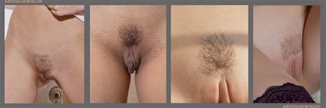 Trimmed Female Pubic Hair Styles Myzpics Com