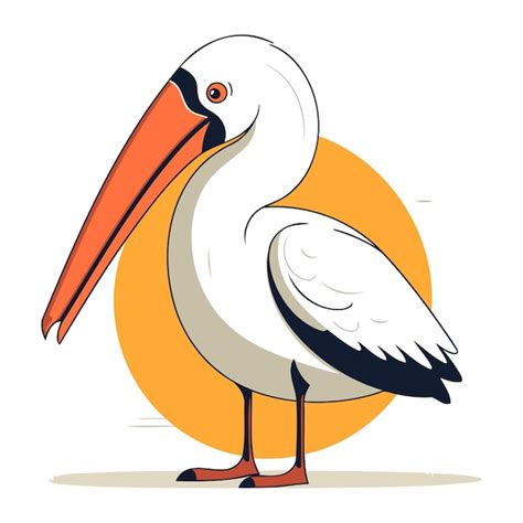 Premium Vector Pelican Vector Illustration Cartoon Pelican Isolated