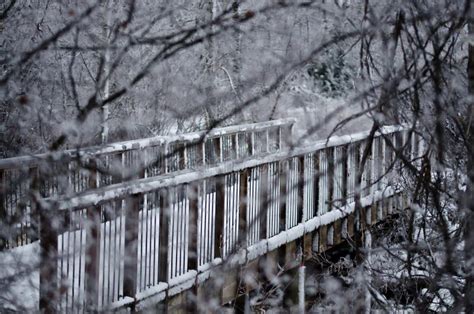 Snow Covered Footbridge Hidden Behind The Frozen Branches Stock Image