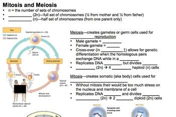 The biology 1 eoc assessment measures achievement of florida students enrolled in biology 1, or an equivalent course, by assessing student progress on benchmarks from the ngsss that are assigned to the biology 1 course description. Biology Review (Full Year for EOC Exam) by For the Love of ...