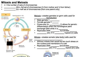 Research methods final exam questions and answers pdf; Biology Review (Full Year for EOC Exam) by For the Love of ...