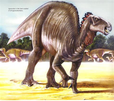 Iguanodon Wiki Prehistórico Fandom Powered By Wikia