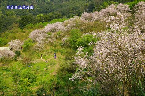 Manage your video collection and share your thoughts. 北部賞櫻景點懶人包/台北、新北、桃園、新竹浪漫櫻花景點推薦 @ 蘇菲的玩樂地圖 :: 痞客邦