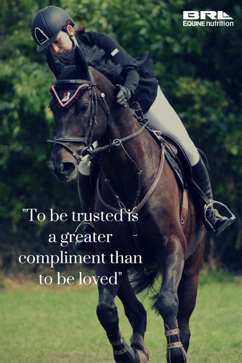 Pin On Inspirational Horse Quotes And Horse Ideas