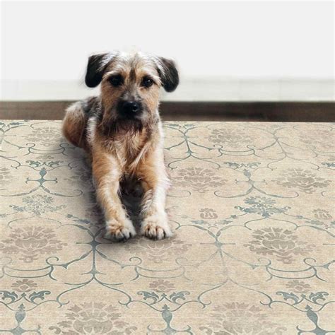 The perfect rug for dog owners. Awesome best area rugs for dogs Images, best of best area ...