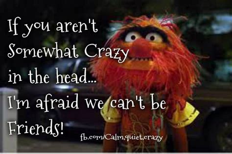 If You Arent Somewhat Crazy Muppets Funny Animal Muppet Fun Quotes