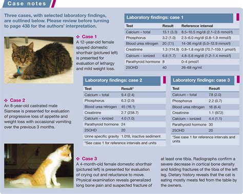 Feline Hyperparathyroidism Pathophysiology Diagnosis And Treatment Of
