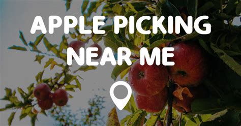 A lot of people who were calling had just gotten laid off. APPLE PICKING NEAR ME - Points Near Me