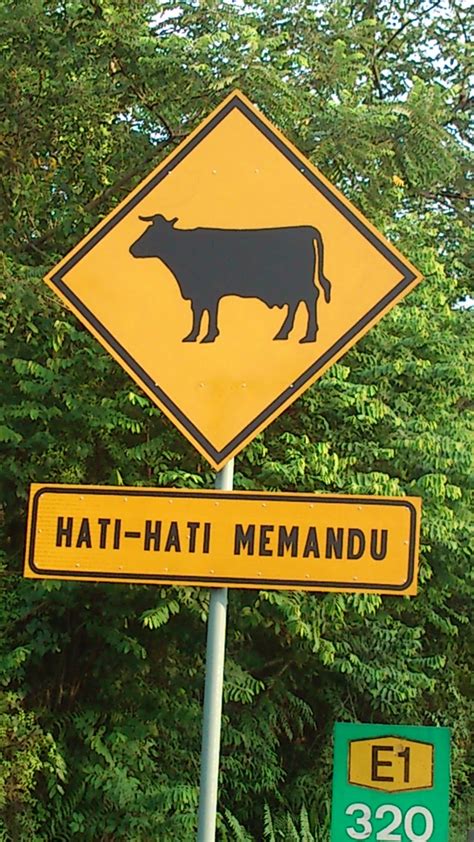 Sebagai penumpang kenderaan, kita haruslah sentiasa memakai tali pinggang keledar. Episod Pemodenan dan Peminggiran Bahasaku: Tersurat dan ...
