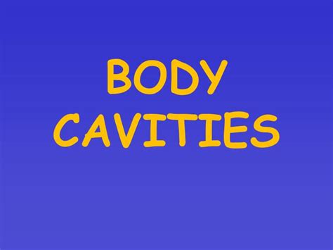 Ppt Body Cavities Powerpoint Presentation Free Download Id3332863
