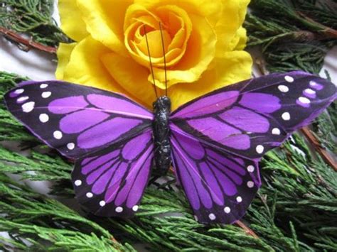 Butterflies Images Purple Butterfly Wallpaper And