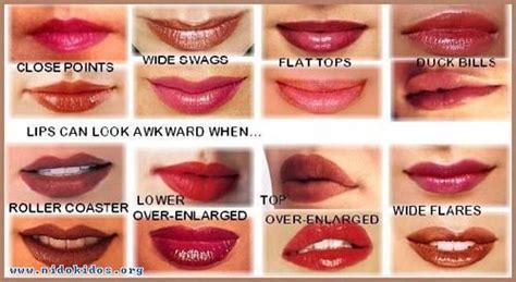 different types of lips and their meanings