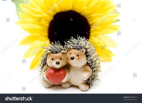 Hedgehog Pair In Front Of Sunflower Stock Photo 50385571 Shutterstock