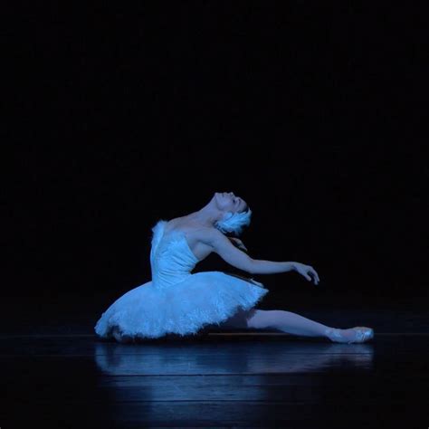 Royal Opera House Fokines The Dying Swan Performed By Natalia Osipova During The Royal