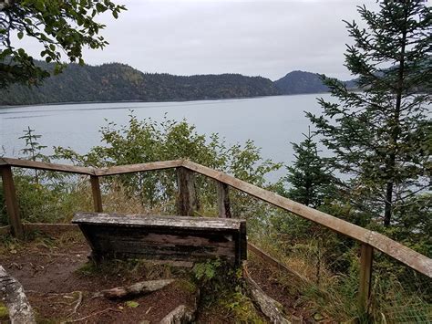 Visitors frequently observe sea otters, seals, porpoise and whales. Kachemak Bay State Park