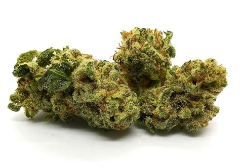 Tsunami Strain Review (Hexo) | Cannabis Sensei