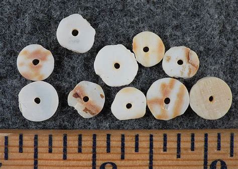 10 Original Cherokee Indian Shell Trade Beads Ancient Artifacts Pre