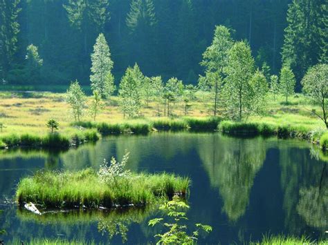 Black Forest National Park Fly Baden