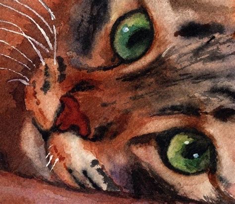 Watercolor Cat Watercolor Paintings Animal Paintings Animal Drawings