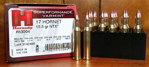 17 Hornady Hornet Ntx Lead Free Ammo Review With Bobcat Hunt