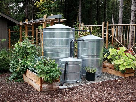 Capture Rainwater For Garden Fasci Garden