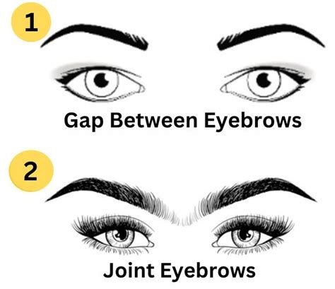 personality test your eyebrows reveal your hidden personality traits