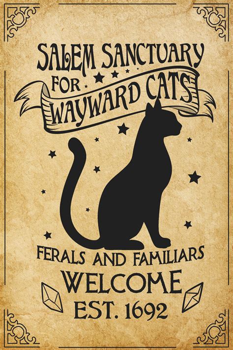 Salem Sanctuary For Wayward Cats Ferals And Familiars Welcome Est 1692