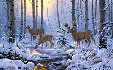 Deer In Woods Painting At Explore Collection Of