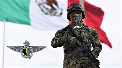 Requisitos Para Ingresar A Las Fuerzas Especiales De Mexico Pasukan
