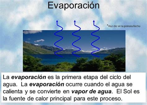 Evaporación Ciclo Del Agua Ecología Hoy