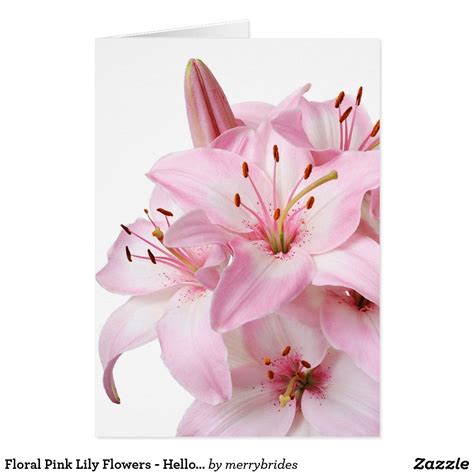 Floral Pink Lily Flowers Hello Love Thank You Lily