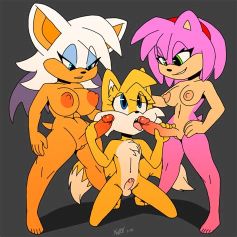 1529289 Amy Rose Rouge The Bat Sonic Team Tails Xxylas