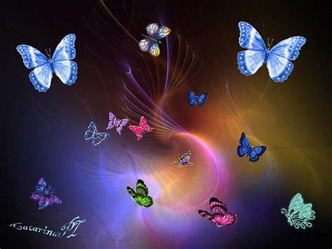 48 Moving Butterfly Wallpapers Wallpapersafari