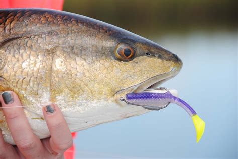 Matrix Shad Fishing Lures Soft Plastic Bait For Trout And Redfish