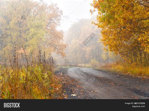 Morning Autumn Fog Image And Photo Free Trial Bigstock