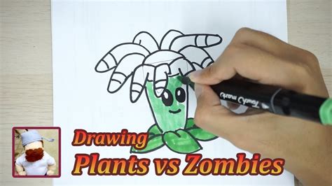 How To Draw Bloomerang Iceberg Lettuce Plants Vs Zombies Youtube