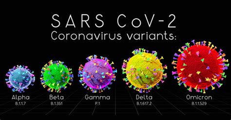 SARS Covid Variants
