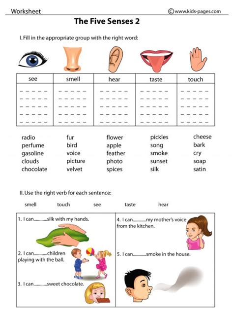 The Five Senses Worksheets Worksheets For Kindergarten