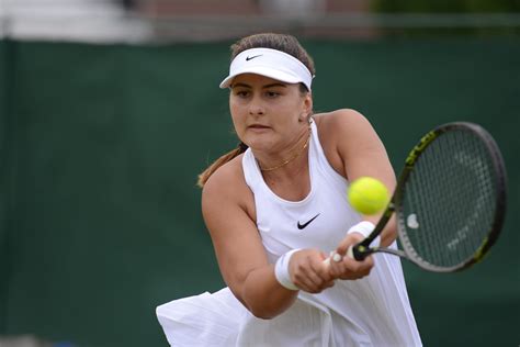Andreescu's father works as a mechanical engineer at an automotive company, while her mother had worked at a bank in romania. Bianca Vanessa Andreescu - Page 14 - TennisForum.com