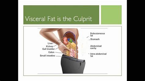 Visceral fat is particularly dangerous because it lies deep in the abdominal cavity. VISCERAL FAT LOSS - YouTube