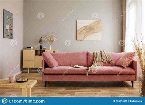 Comfortable Velvet Pastel Pink Couch In Elegant Beige Interior With