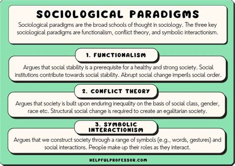 The 3 Sociological Paradigms Explained With Pros And Cons 2024