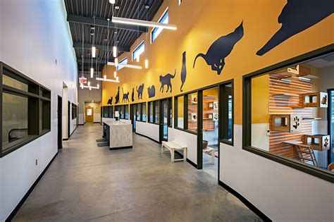 Sicsa Pet Adoption And Wellness Center Conger Construction Group